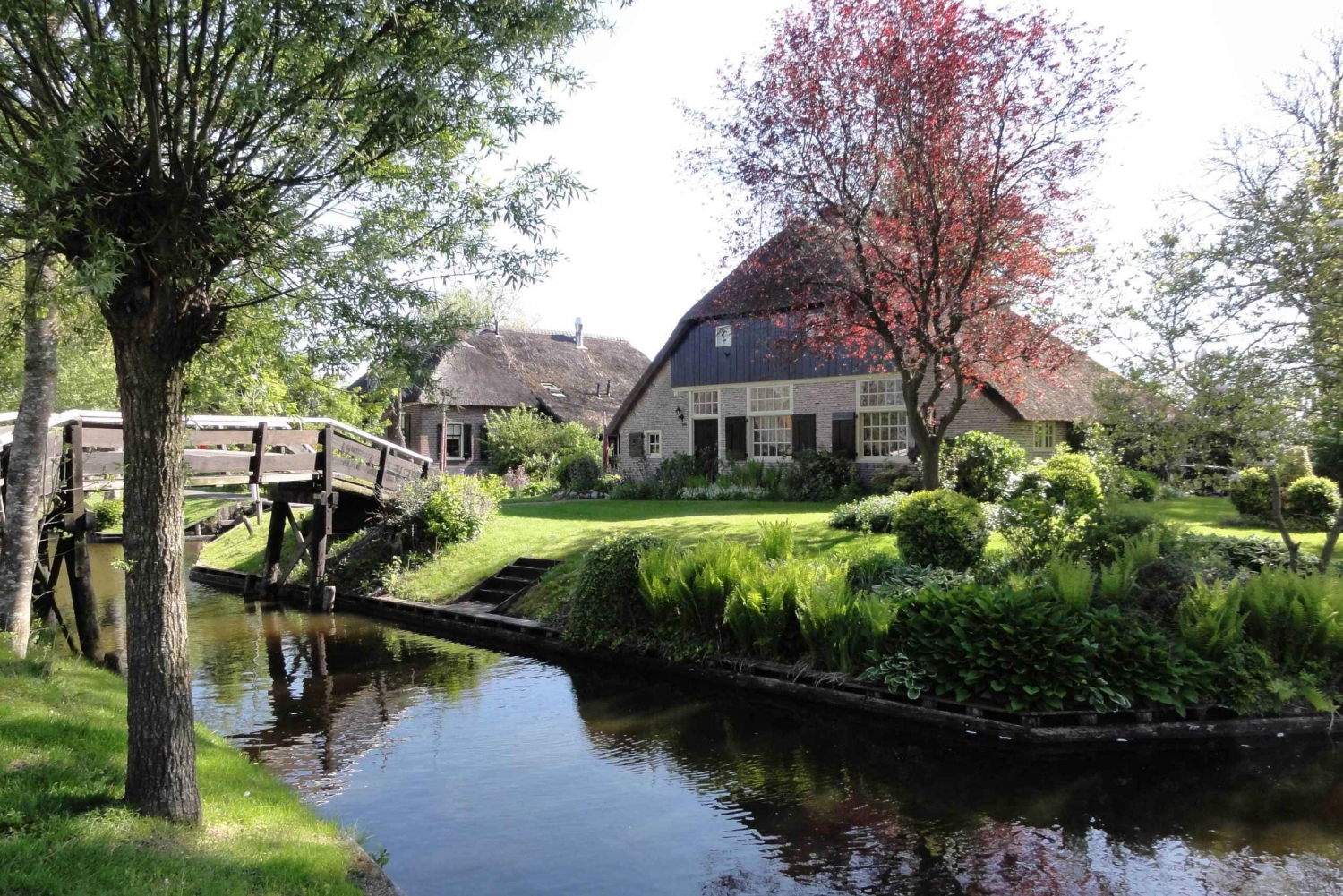 Tulips & Canals: Private Day Trip to Keukenhof and Giethoorn