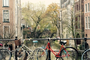 Utrecht: Customizable Tour & Optional Train from Amsterdam