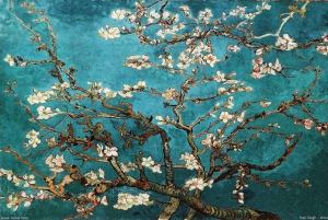 Van Gogh & Rijksmuseum, varattu sisäänpääsy, enintään 8 henkilöä