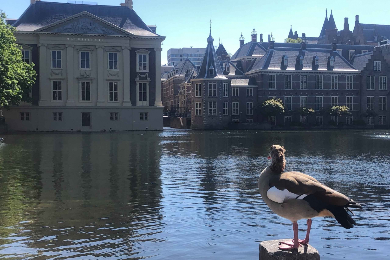 Visit the Girl with the Pearl Earring, The Hague & Delft