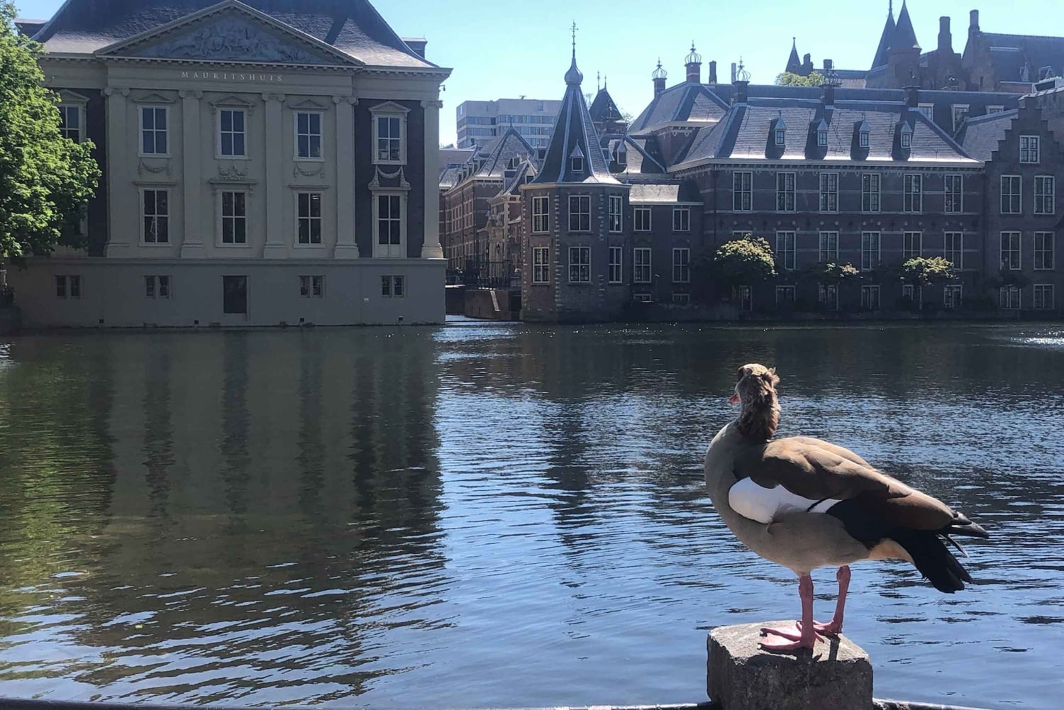 Visitez la Fille à l'Oreille de Perle, La Haye et Delft