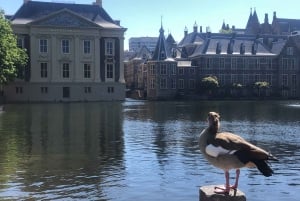 Visitez la Fille à l'Oreille de Perle, La Haye et Delft