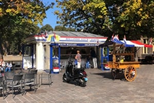 Visitez la Fille à l'Oreille de Perle, La Haye et Delft