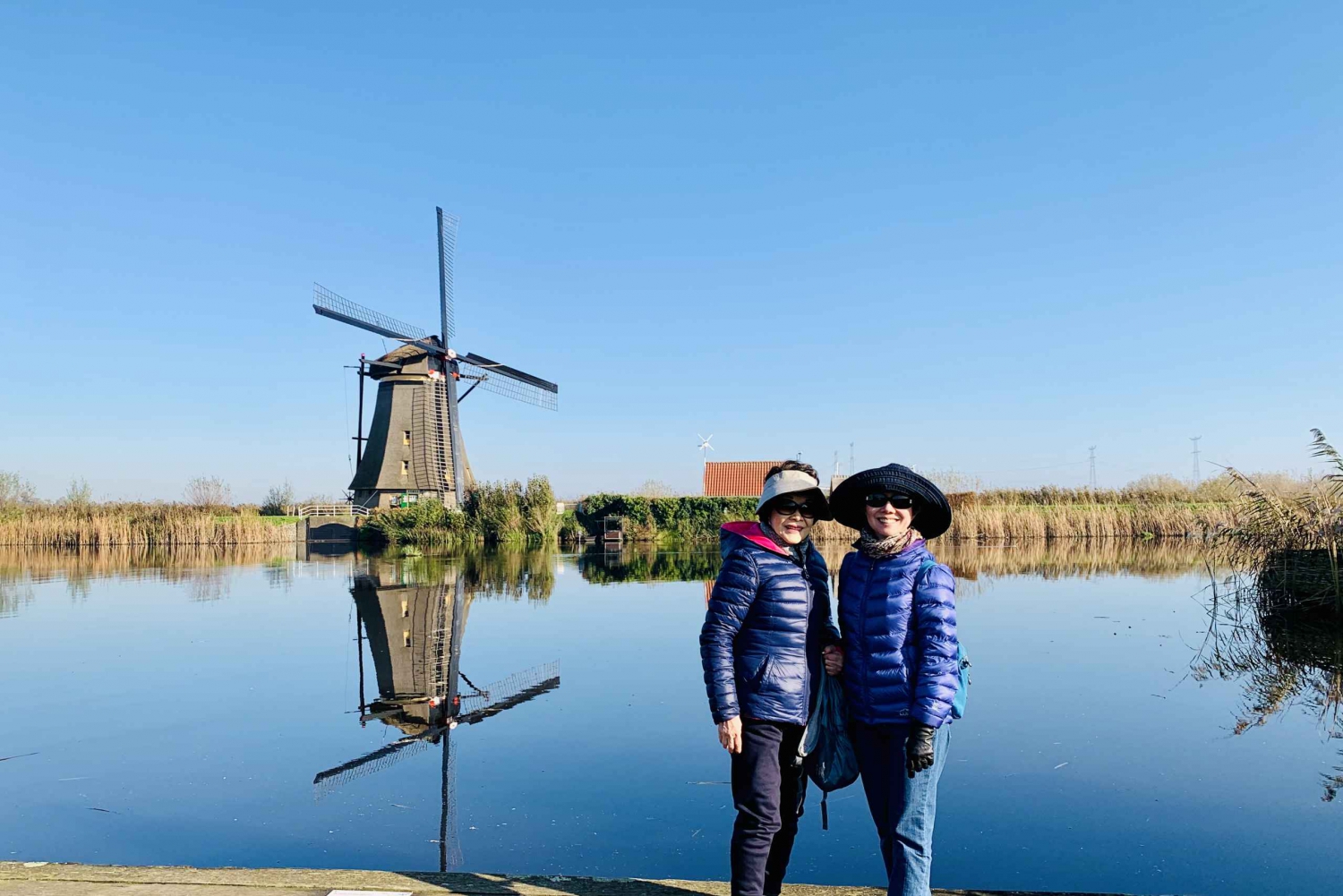 World Heritage Kinderdijk Windmills Tour