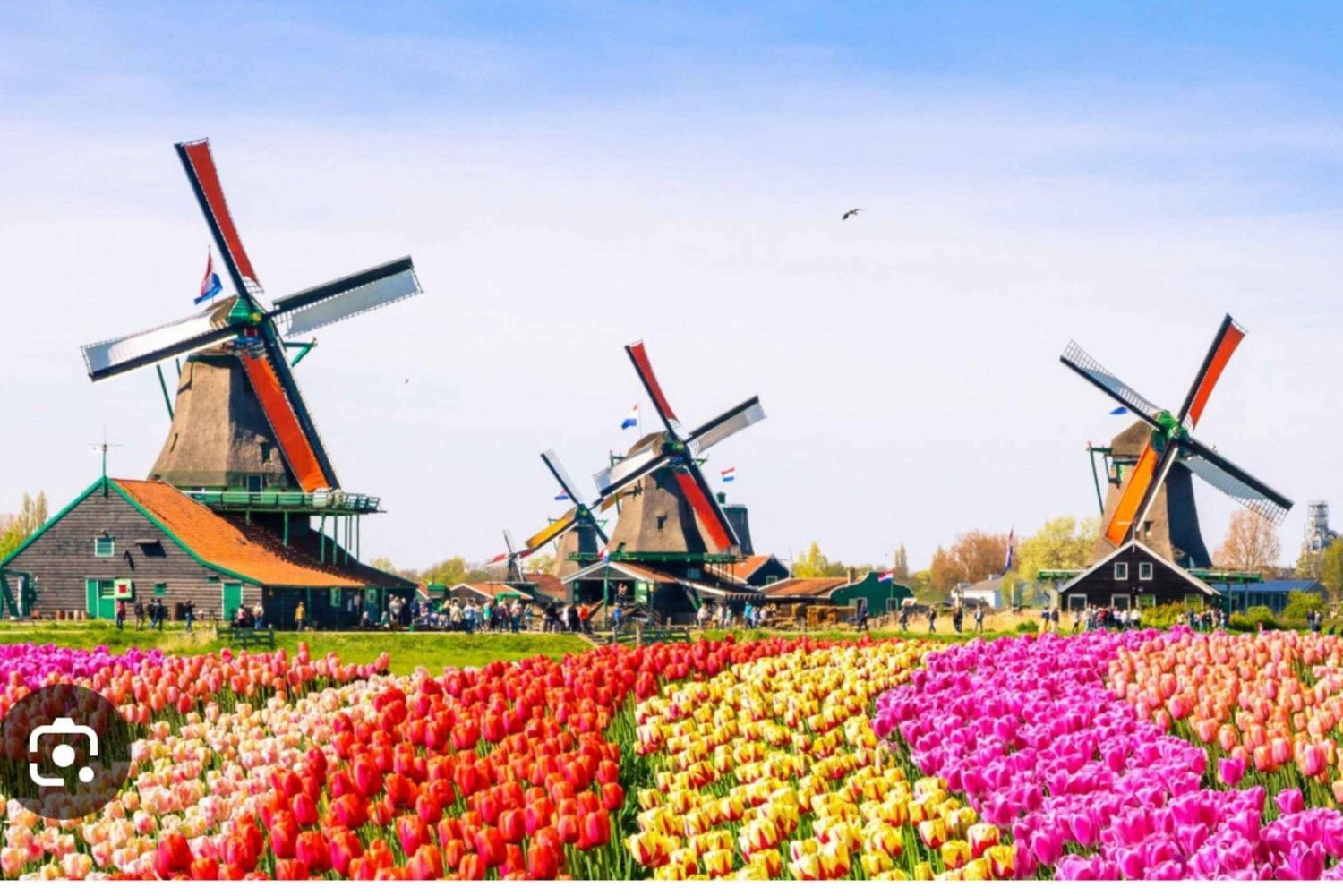 Zaanse Schans - Ostefabrik -Volendam, Privat tur.