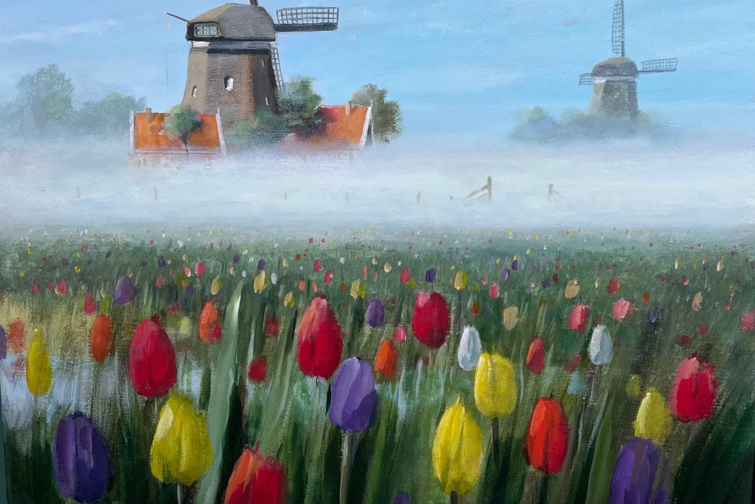 Zaanse Schans: Tour di mezza giornata con guida privata