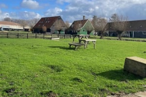 Zaanse Schans: Half-Day Private Guided Tour