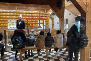 Zaanse Schans: Half-Day Private Guided Tour