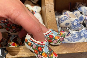 Zaanse Schans: Tour di mezza giornata con guida privata