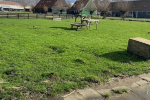 Zaanse Schans: Tour di mezza giornata con guida privata