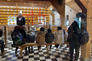 Zaanse Schans: Tour di mezza giornata con guida privata