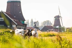Zaanse Schans, Marken, Volendam and Edam Full-Day Tour