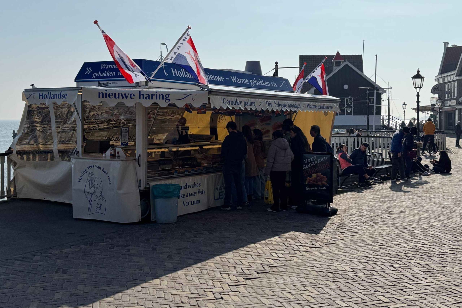 Tour privado a Zaanse Schans y Volendam: molinos de viento y queso