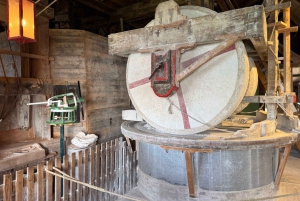 Tour privado a Zaanse Schans y Volendam: molinos de viento y queso