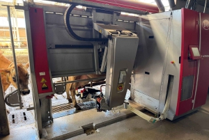 Tour privado a Zaanse Schans y Volendam: molinos de viento y queso