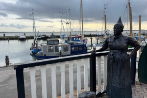Tour privado a Zaanse Schans y Volendam: molinos de viento y queso