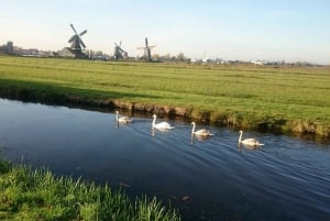 Zaanse Schans Windmills 4-Hour Tour in Italian