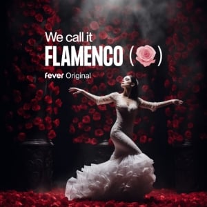 We call it Flamenco: A sensational Spanish dance show