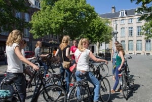 Anversa: tour guidato in bici