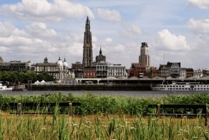 Anversa: crociera nel porto di Anversa