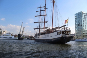 Antuérpia: passeio privado de barco no antigo porto, incluindo. Bebidas e lanches