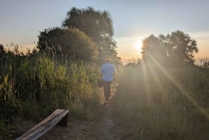 Antwerpen: Private Hafentour mit fachkundigem Guide und Auto