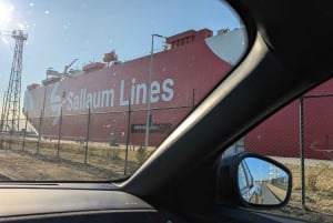 Antwerpen: Private Hafentour mit fachkundigem Guide und Auto