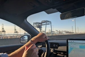 Antwerpen: Private Hafentour mit fachkundigem Guide und Auto