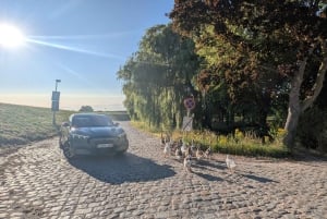 Antwerpen: Private Hafentour mit fachkundigem Guide und Auto