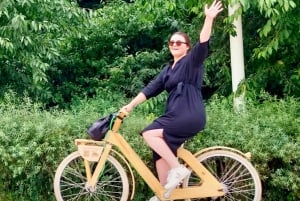 アントワープ：木製自転車で巡る 5 大都市ハイライト