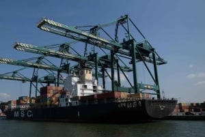 Antwerpia: Wycieczka piesza z Steen do Dworca Centralnego