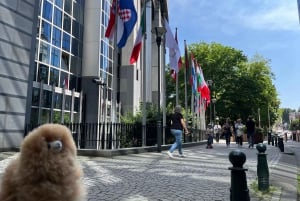 Belgium: Private Airport Transfer Service