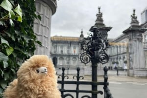 Belgium: Private Airport Transfer Service