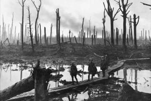 ブリュッセル：第一次世界大戦の戦場プライベートツアー