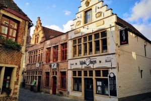 Au départ de Bruxelles : Visite d'une jounée d'Anvers et de Gand avec guide