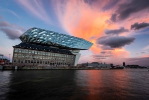 Da Bruxelles: Tour guidato della città di Anversa