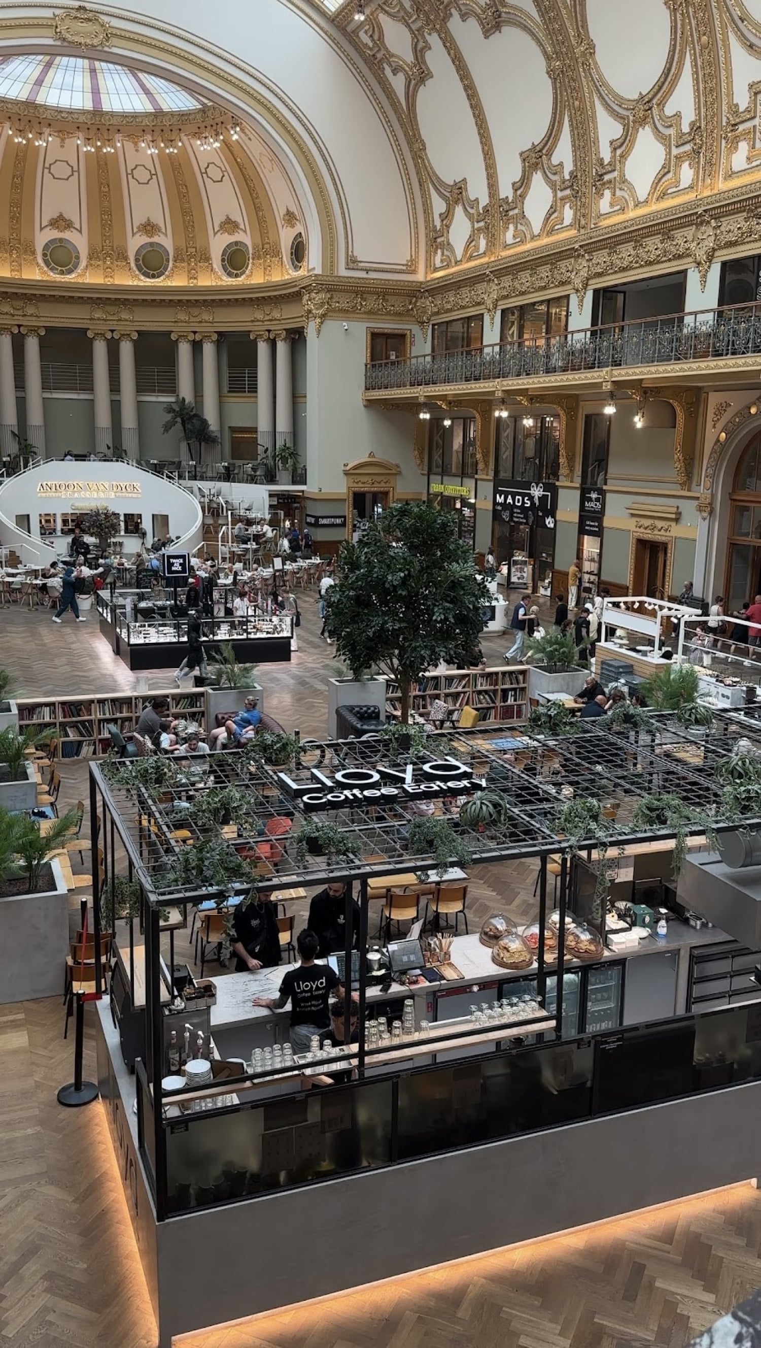 Lloyd Coffee Eatery - Brunch Antwerp