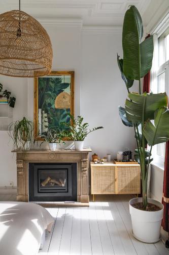 Musa Antwerpen
