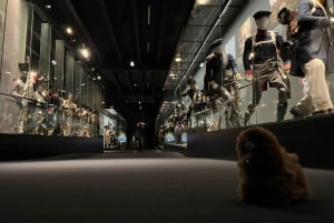 Waterloo fra Brussel Halvdagstur