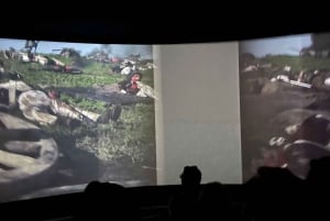 Waterloo fra Brussel Halvdagstur