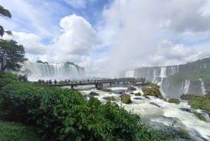 1-DNIOWA PRYWATNA WYCIECZKA – WODOSPADY IGUAZU (STRONA BRAZYLIJSKA I ARGENTYŃSKA)