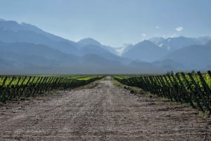 Ritiro di 3 giorni a Mendoza con biglietto aereo facoltativo