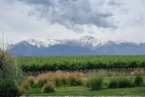 Ritiro di 3 giorni a Mendoza con biglietto aereo facoltativo