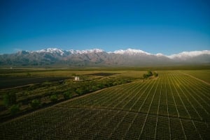 Ritiro di 3 giorni a Mendoza con biglietto aereo facoltativo