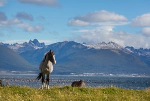 3-Day Ushuaia Escape with Optional Airfare from Buenos Aires