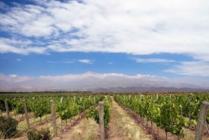 3 jours essentiels à Mendoza - Montagnes et vins !