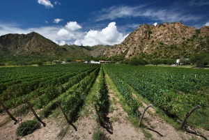 4-dages tur til Salta Cafayate og Humahuaca