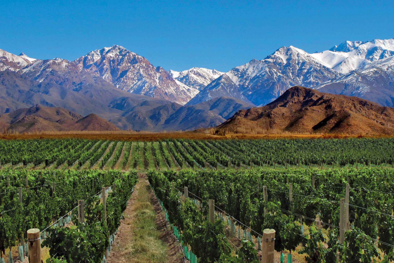 4 - Days Trip to Mendoza & The Andes