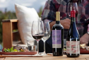 4-godzinna lekcja kuchni argentyńskiej w winnicy Grazie Mille