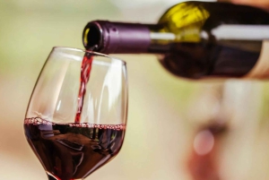 4-godzinna lekcja kuchni argentyńskiej w winnicy Grazie Mille